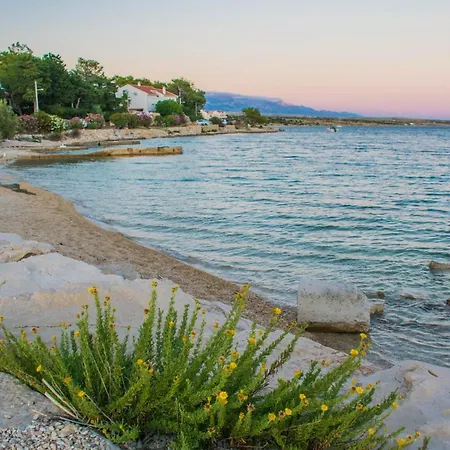 Stef In Island Pag Апартаменты