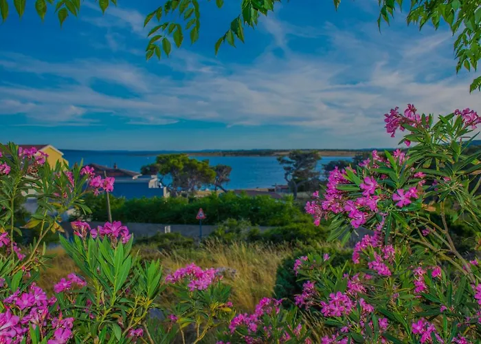 Stef In Island Pag *