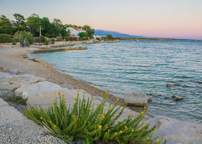 Stef In Island Pag Apartman