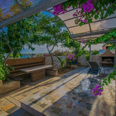 Stef In Island Pag Daire *